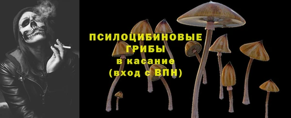 бутират Заводоуковск
