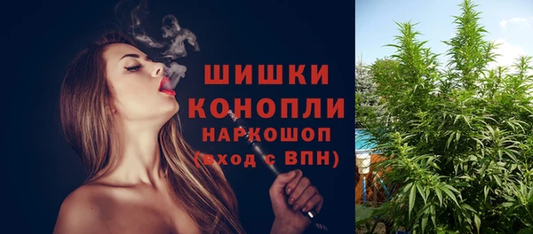 метадон Елизово