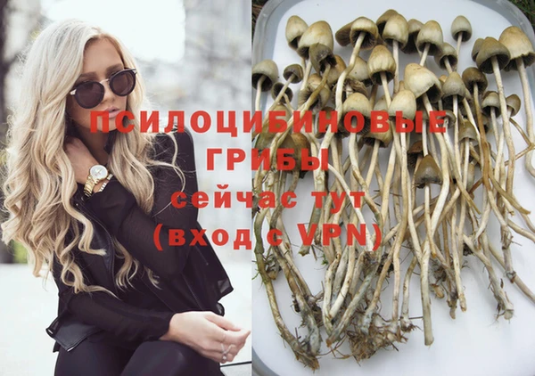 метамфетамин Ельня