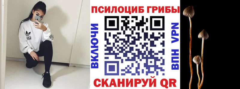 Галлюциногенные грибы Psilocybe  закладки  Новочебоксарск 